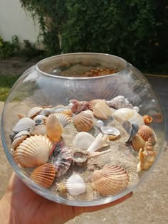 a hand holding a bowl filled with sand and sea shells