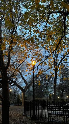 an empty park with benches and a street light in the distance at dusk, surrounded by leaves on the ground