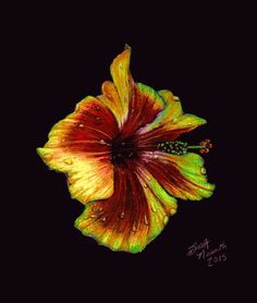 a painting of a flower on a black background