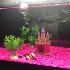 a fish tank filled with pink gravel and plants