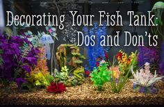 a fish tank filled with lots of different types of flowers and plants on top of it