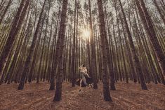 a person sitting in the middle of a forest with trees and sun shining through them