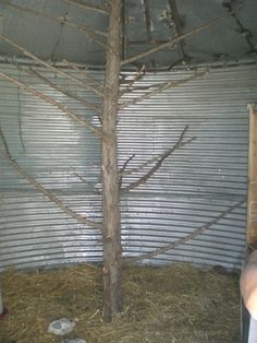 a bare tree in the corner of a room with metal walls and doors behind it