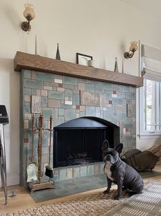 a dog is sitting in front of a fireplace