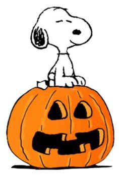 a snoopy dog sitting on top of a jack - o'- lantern pumpkin