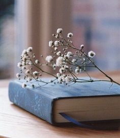 a book with some flowers on top of it