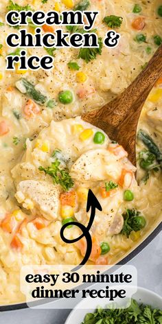 creamy chicken and rice recipe in a skillet with text overlay that reads easy 30 minute dinner recipe