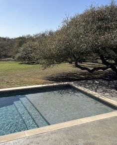 an empty swimming pool surrounded by trees and grass