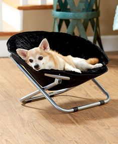 a small dog laying in a chair on the floor