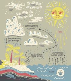 an illustrated map shows the different types of clouds and how they are used to describe them