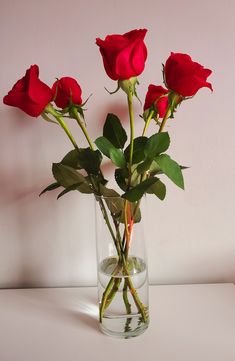 three red roses in a clear vase on a white counter top with water and light