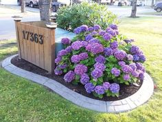 the purple flowers are blooming in the flower bed by the mailbox on the side of the road