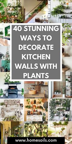 Elevate your kitchen with these 40 creative ways to decorate walls using plants. Add a touch of green with hanging pots, vertical gardens, or wall-mounted planters, blending nature into your home for a refreshing vibe.