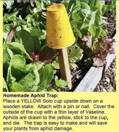 a yellow cup sitting on top of a wooden stick in the middle of a garden