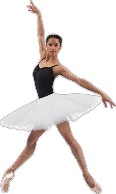 White Fitted Petticoat For Dance, Ballet Style Tulle Petticoat, Balletcore Tulle Tutu Dress For Dance, Fitted Ballet Petticoat For Dance, Fitted Ballet Tulle Petticoat, Tulle Tutu Dress With Cancan For Dance, Belle Tutu, Seal Of Approval, Ballet Tutu