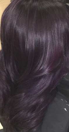 Purple Hair Colour Ideas, Purple Tinted Hair, Violet Black Hair, Eggplant Colored Hair, Purple Hair Colour, Dark Violet Hair, Purple Brown Hair