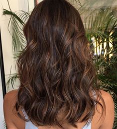 Brunette Balayage Hair, Light Hair Color