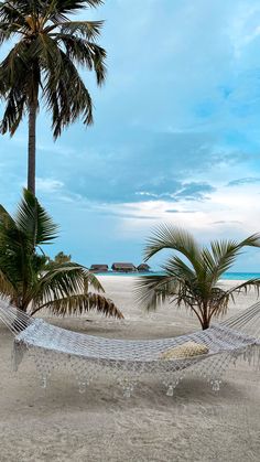 a hammock on the beach with palm trees