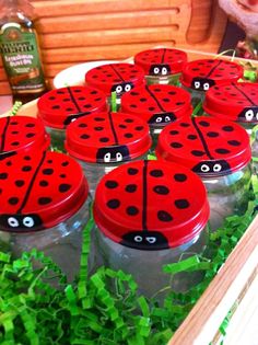 ladybug jars are sitting in the grass with eyes painted on them and green leaves