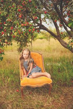 Family Photos With Chair, Apple Orchard Photography, Children Poses, Fall Minis, Chair Photography, Fall Mini Sessions, Fall Family Pictures, Fall Photo, Fall Mini