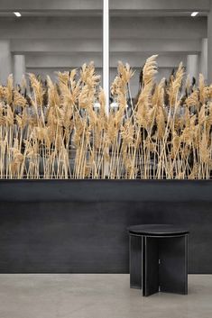 a black table and some brown grass in a room with large windows on the wall