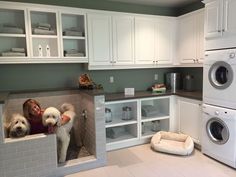 a woman and two dogs in a kitchen with washer, dryer and cabinets