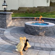 two ducks are standing in front of a fire pit