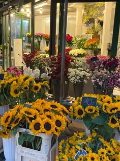 sunflowers and other flowers are for sale at a flower shop