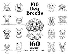 the dog breeds are shown in black and white