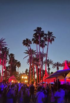 a crowd of people standing around in front of palm trees at night with lights on