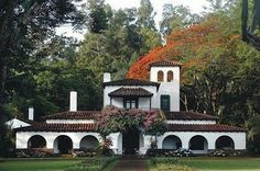 a large white house surrounded by trees and flowers