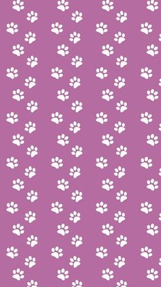 an orange and green dog paw print on a purple background