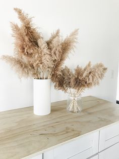 two vases filled with dried plants sitting on top of a wooden counter next to white drawers