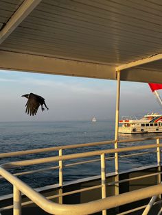 a large bird flying over the top of a boat