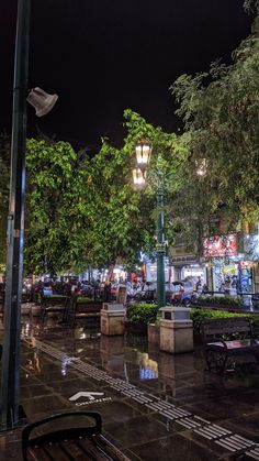 an empty park bench in the rain at night with street lights and trees around it