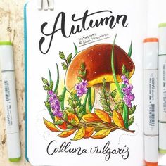 the coloring book is next to three markers and two pens on a wooden surface with an illustration of a mushroom