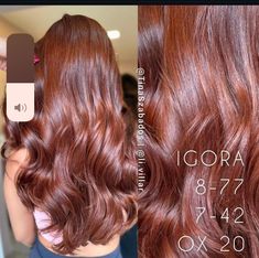 Igora Hair Color, Hair Dye Videos, Wine Hair, Honey Brown Hair, Hair Color Streaks