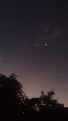 the moon and venus are visible in the night sky above some tree tops at dusk