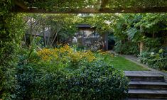 an outdoor garden with steps leading up to the house