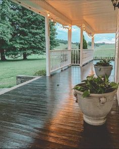 a potted plant on the front porch of a house