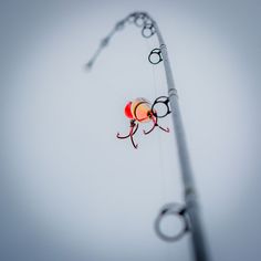 an insect is hanging upside down on a pole in the air with its eyes closed