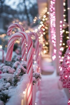 candy canes are lined up in front of christmas trees with lights on the side