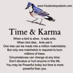 a bird sitting on top of a tree branch next to a poem about time and karma