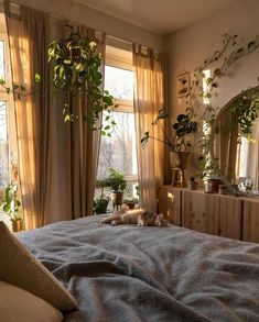 a bed room with a neatly made bed and lots of plants on the windowsill