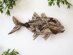 driftwood fish sculpture sitting on top of a white wall