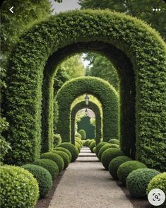 an arch in the middle of a garden lined with hedges