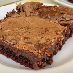 two pieces of chocolate cake on a white plate