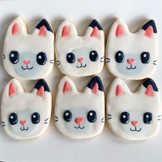 six decorated cookies with cat faces on them