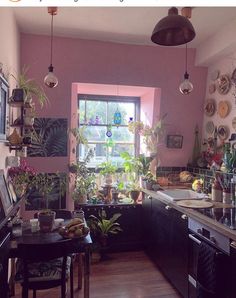 a kitchen filled with lots of potted plants