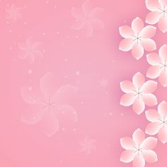 a pink background with white flowers on it